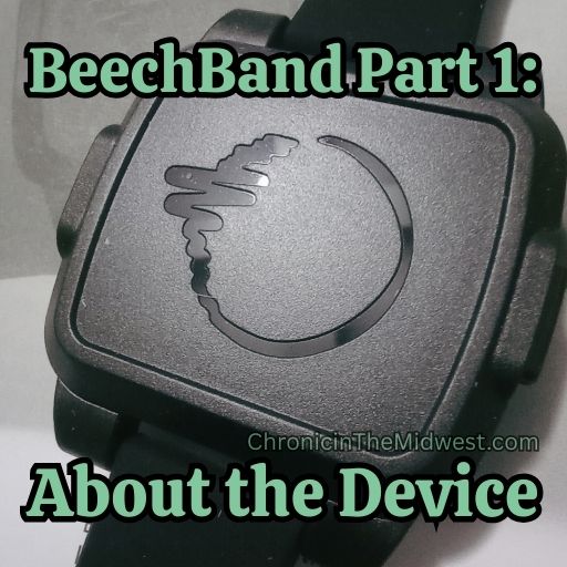 BeechBand Part 1: About the&nbsp;Device